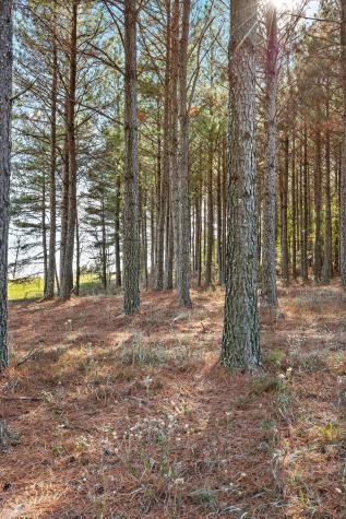 0 River Bluffs Drive Jasper TN 37347