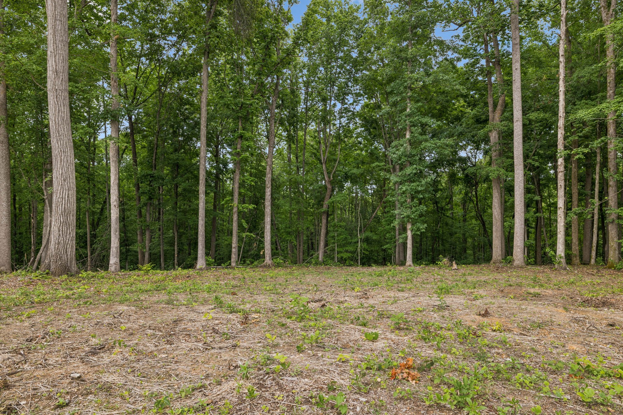 5610 Parker Branch Trail Franklin TN 37064