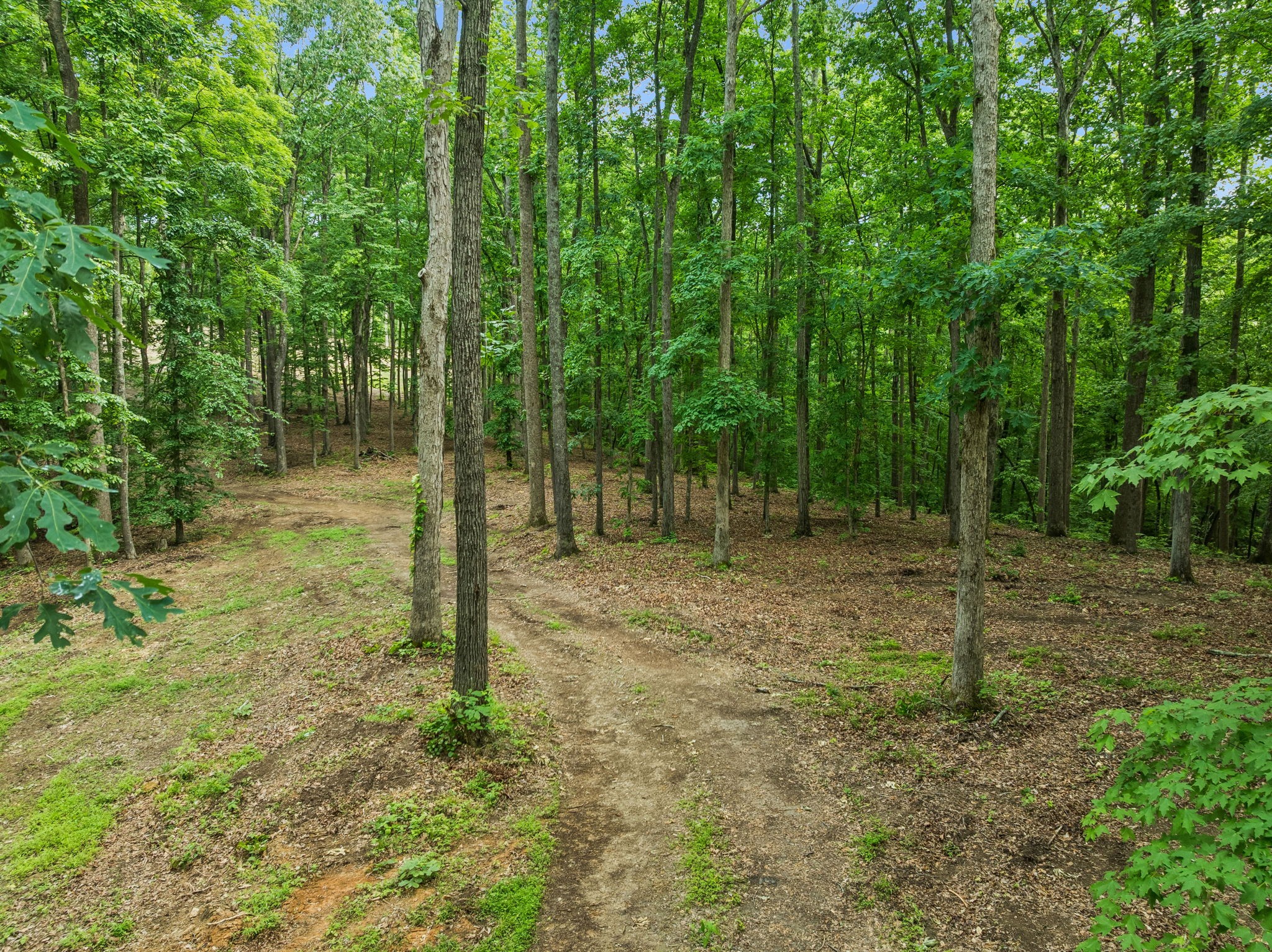 5610 Parker Branch Trail Franklin TN 37064