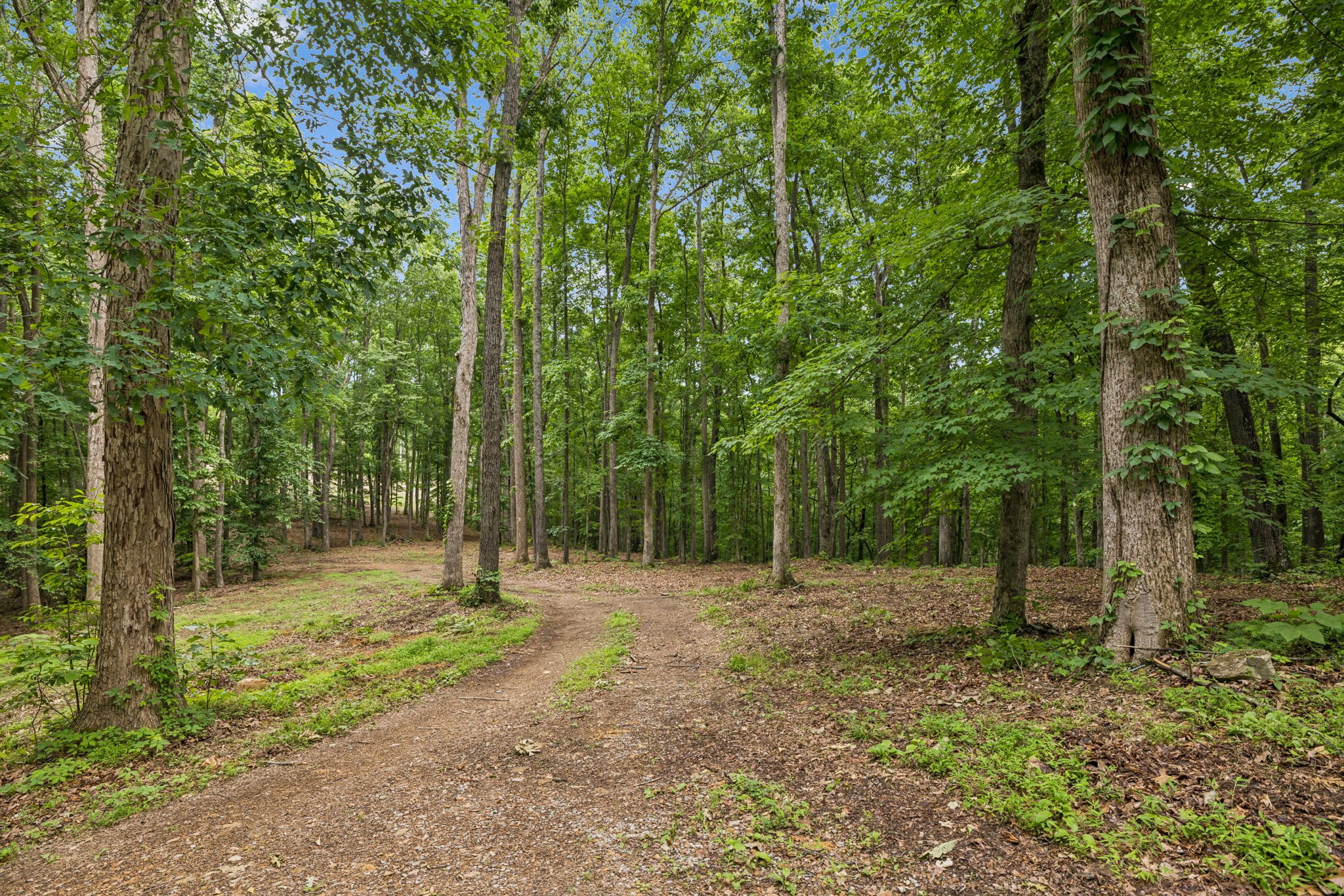 5610 Parker Branch Trail Franklin TN 37064