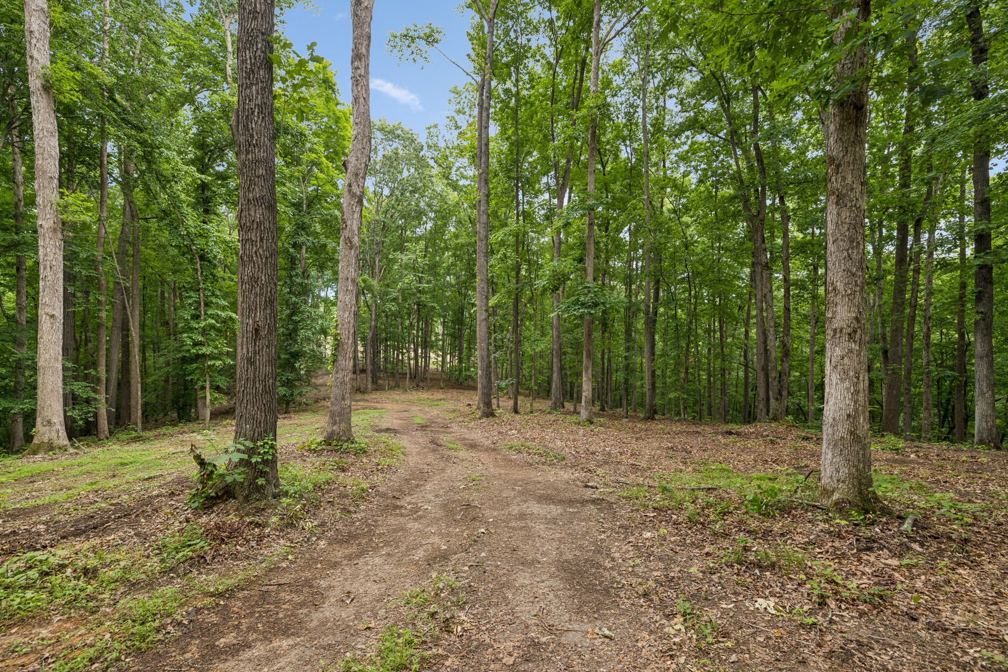 5610 Parker Branch Trail Franklin TN 37064