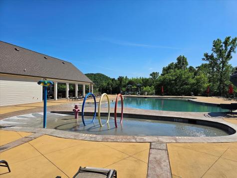 10211 Stellata Lane Apison TN 37302
