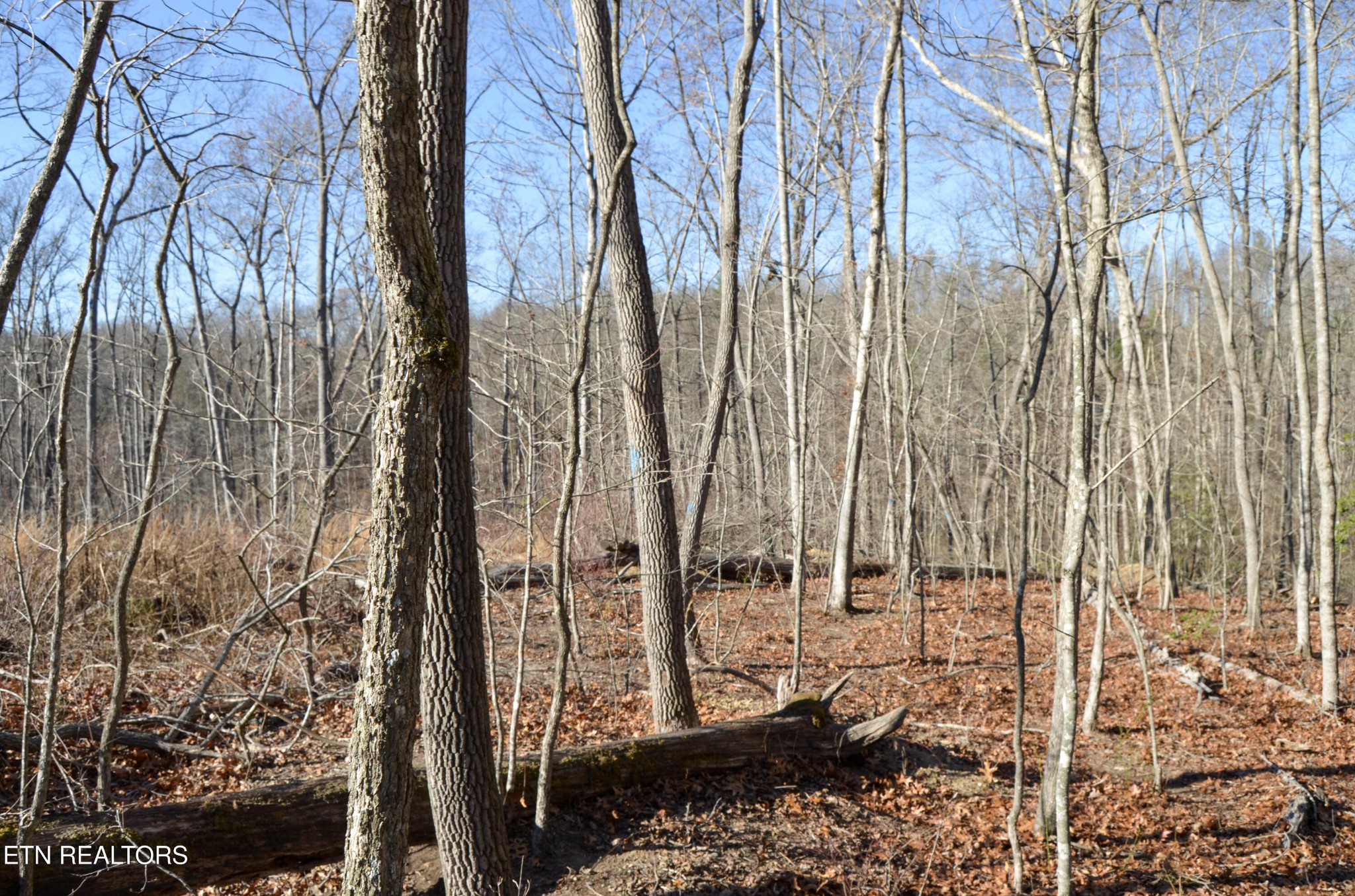 0 Sparta Highway 31.65 +/- Acres Crossville TN 38555