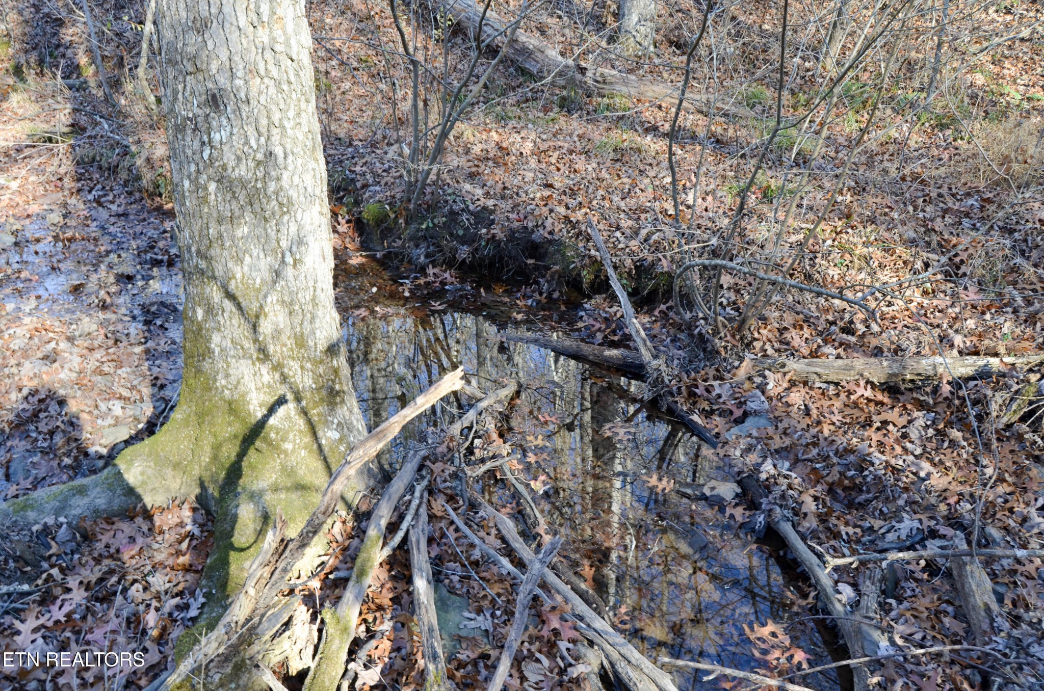 0 Sparta Highway 31.65 +/- Acres Crossville TN 38555
