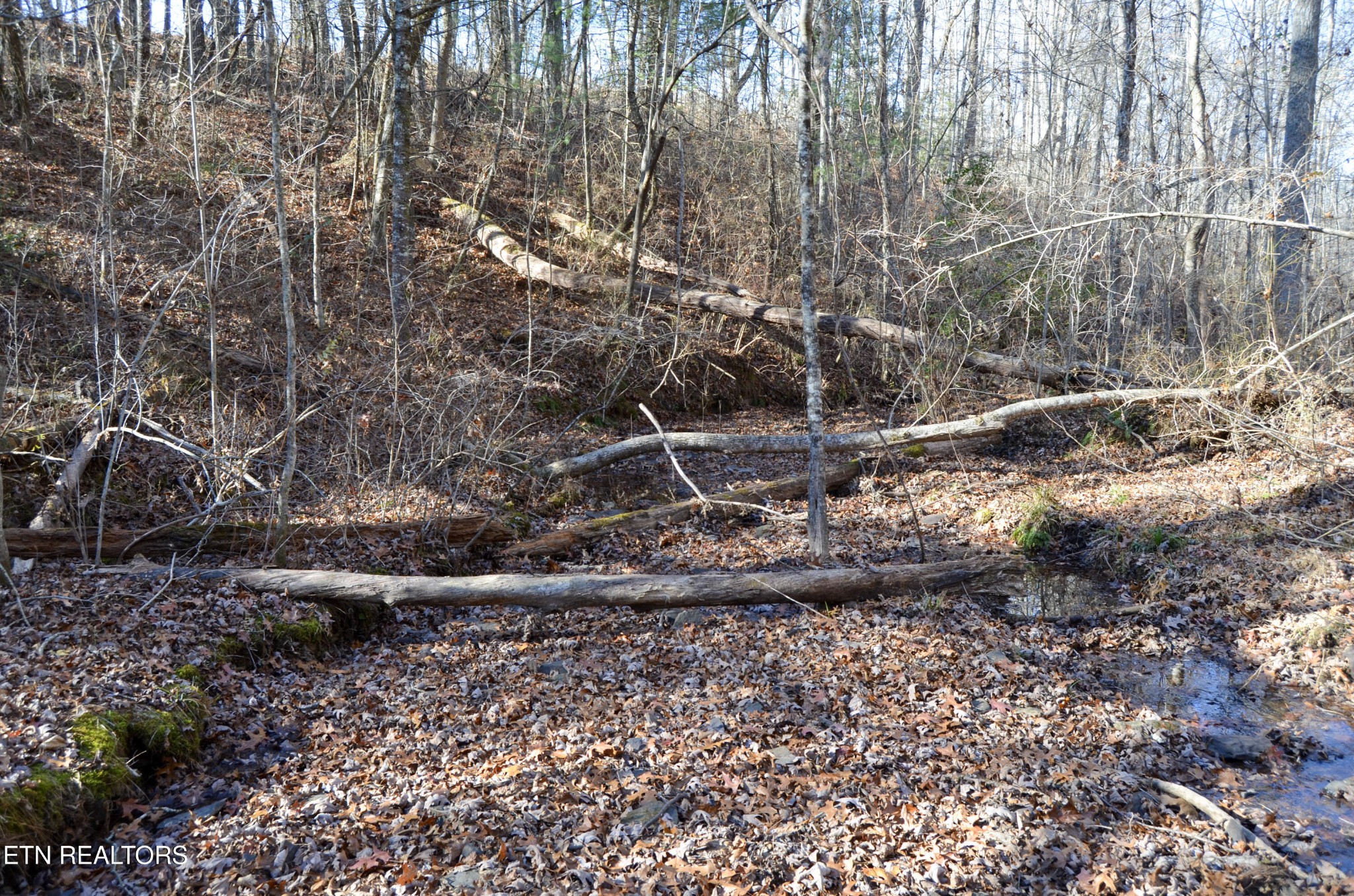 0 Sparta Highway 31.65 +/- Acres Crossville TN 38555
