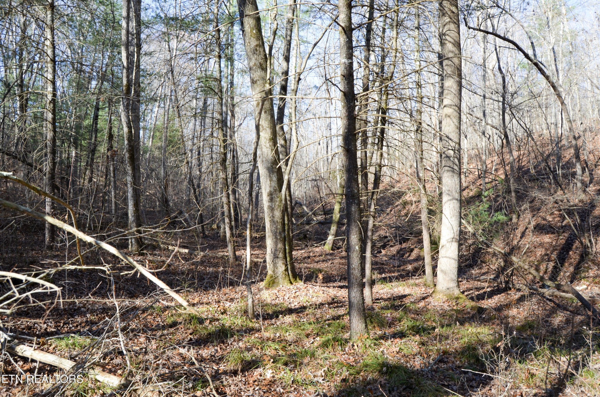 0 Sparta Highway 31.65 +/- Acres Crossville TN 38555