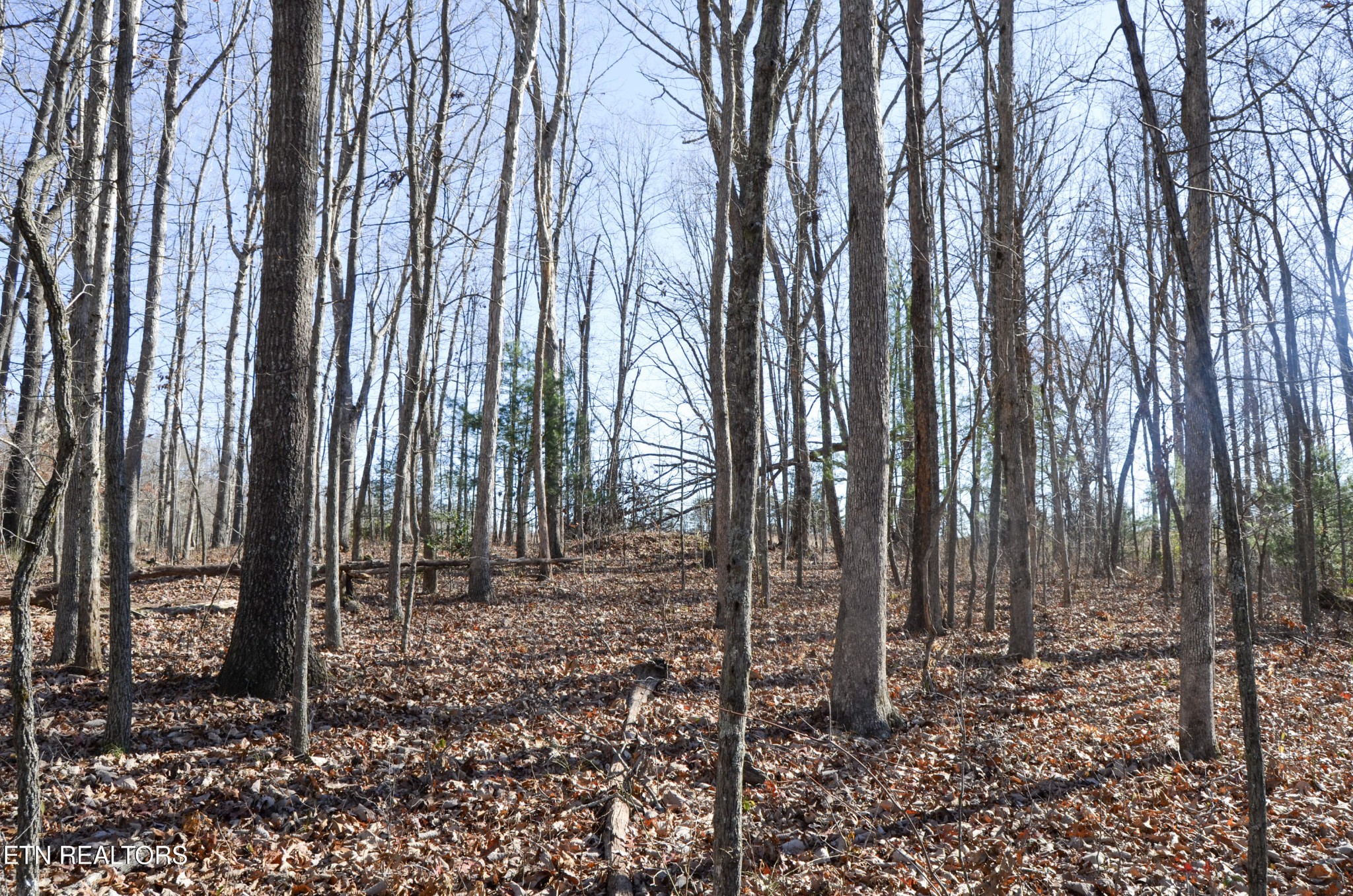 0 Sparta Highway 31.65 +/- Acres Crossville TN 38555
