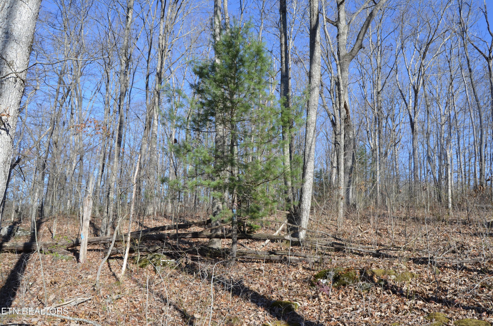 0 Sparta Highway 31.65 +/- Acres Crossville TN 38555