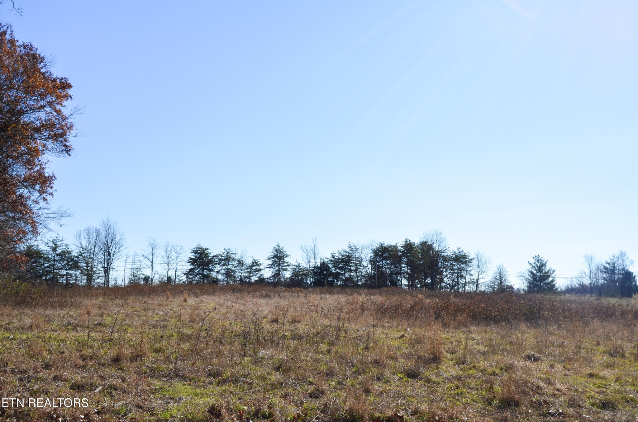 0 Sparta Highway 31.65 +/- Acres Crossville TN 38555
