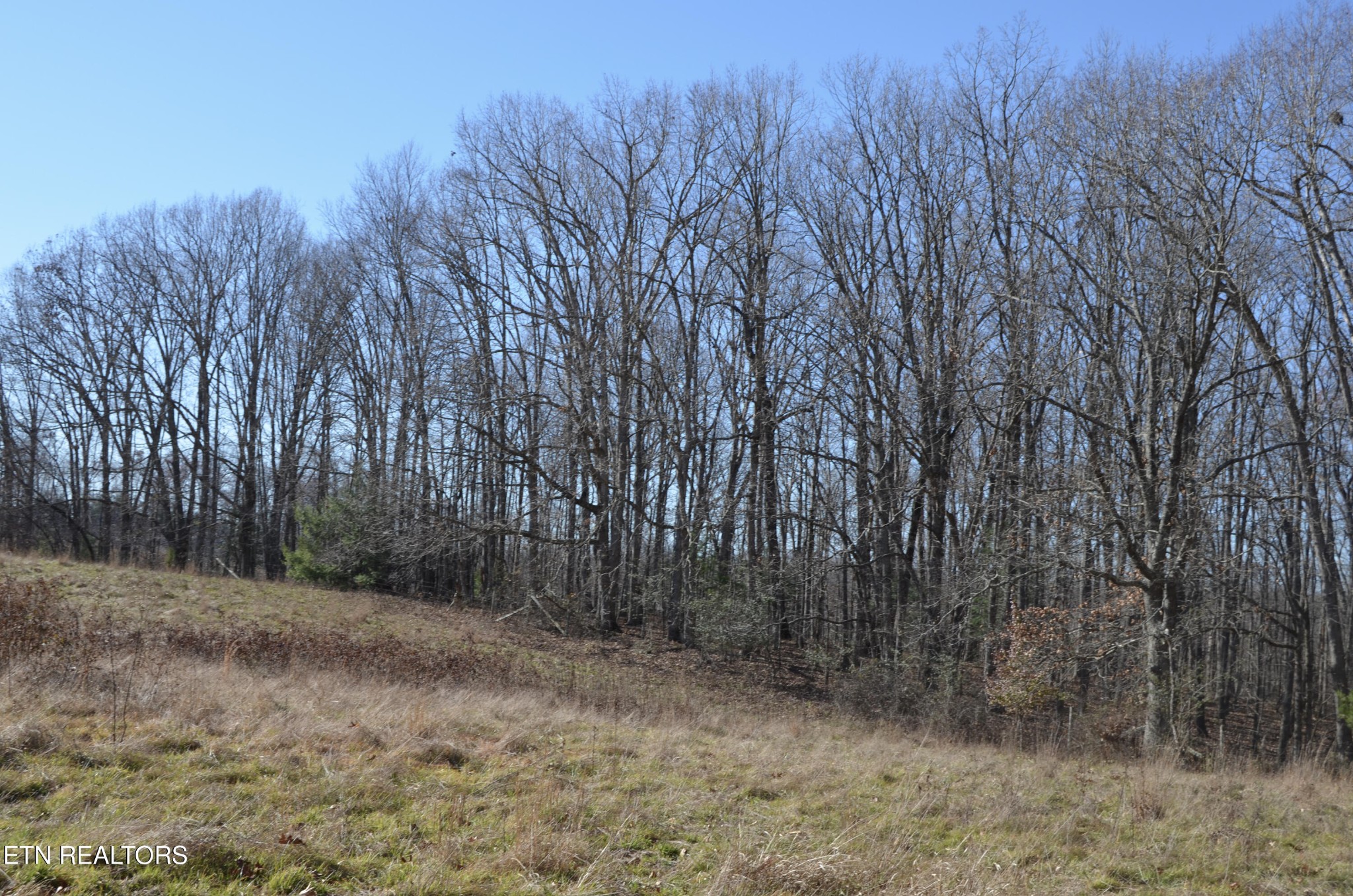 0 Sparta Highway 31.65 +/- Acres Crossville TN 38555