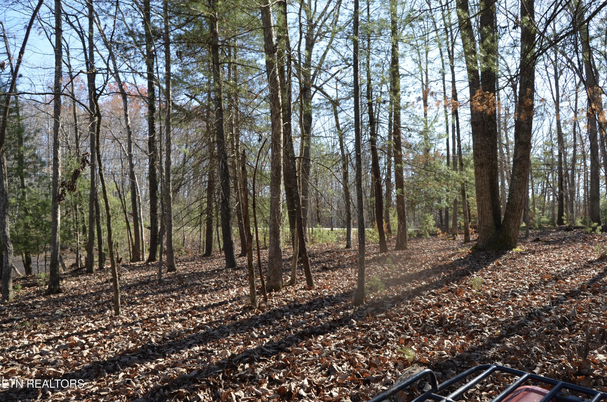 0 Sparta Highway 31.65 +/- Acres Crossville TN 38555