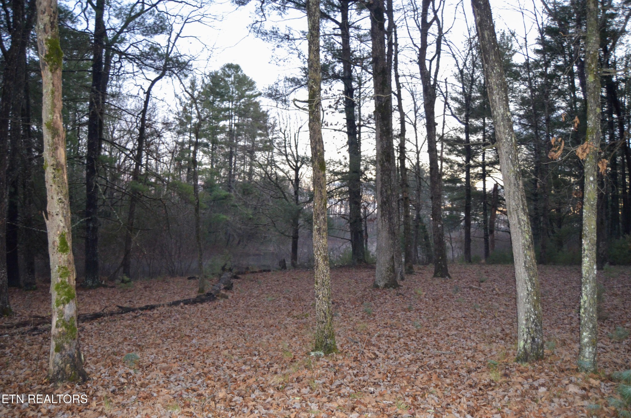 0 Sparta Highway 31.65 +/- Acres Crossville TN 38555