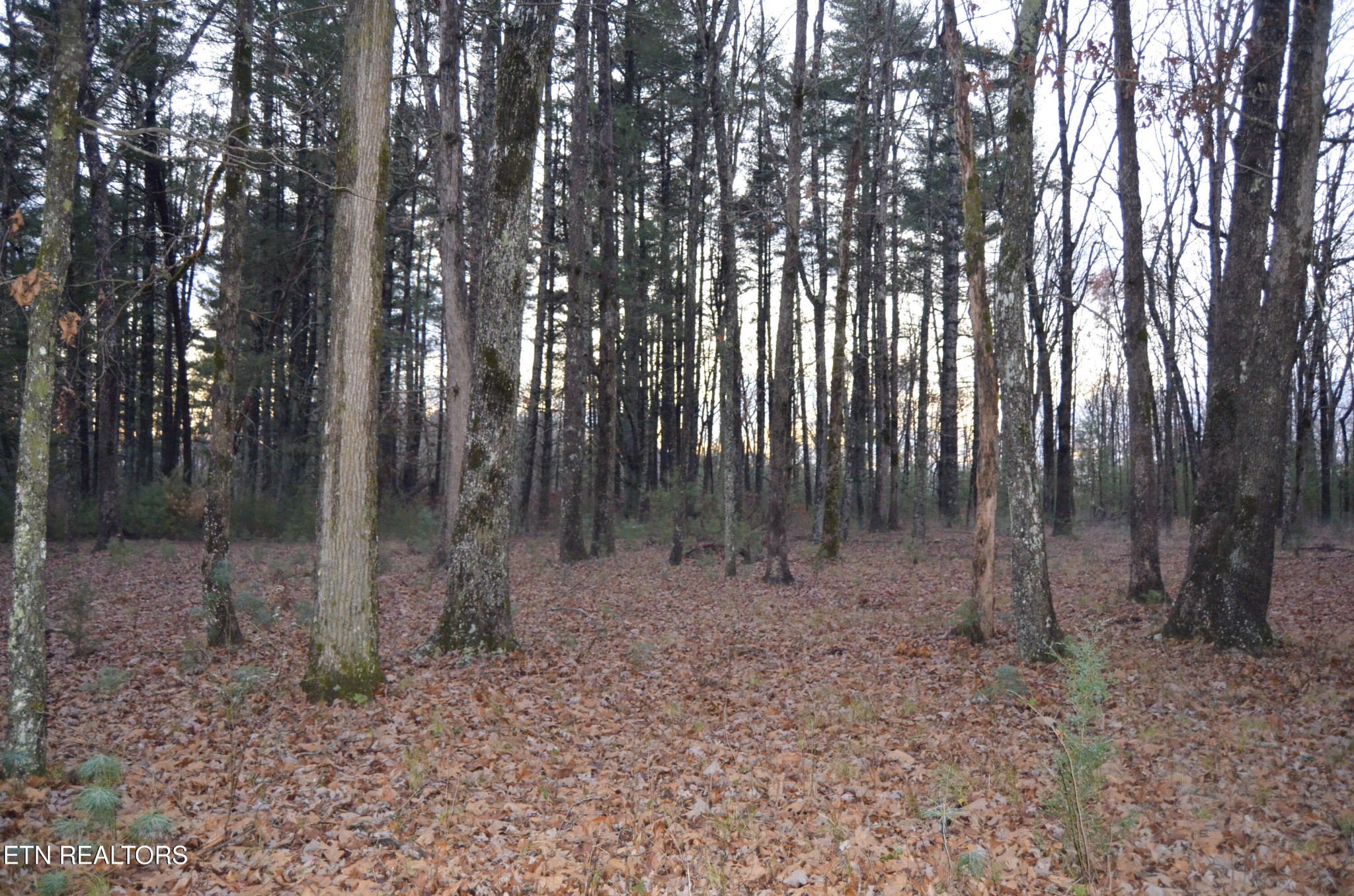 0 Sparta Highway 31.65 +/- Acres Crossville TN 38555