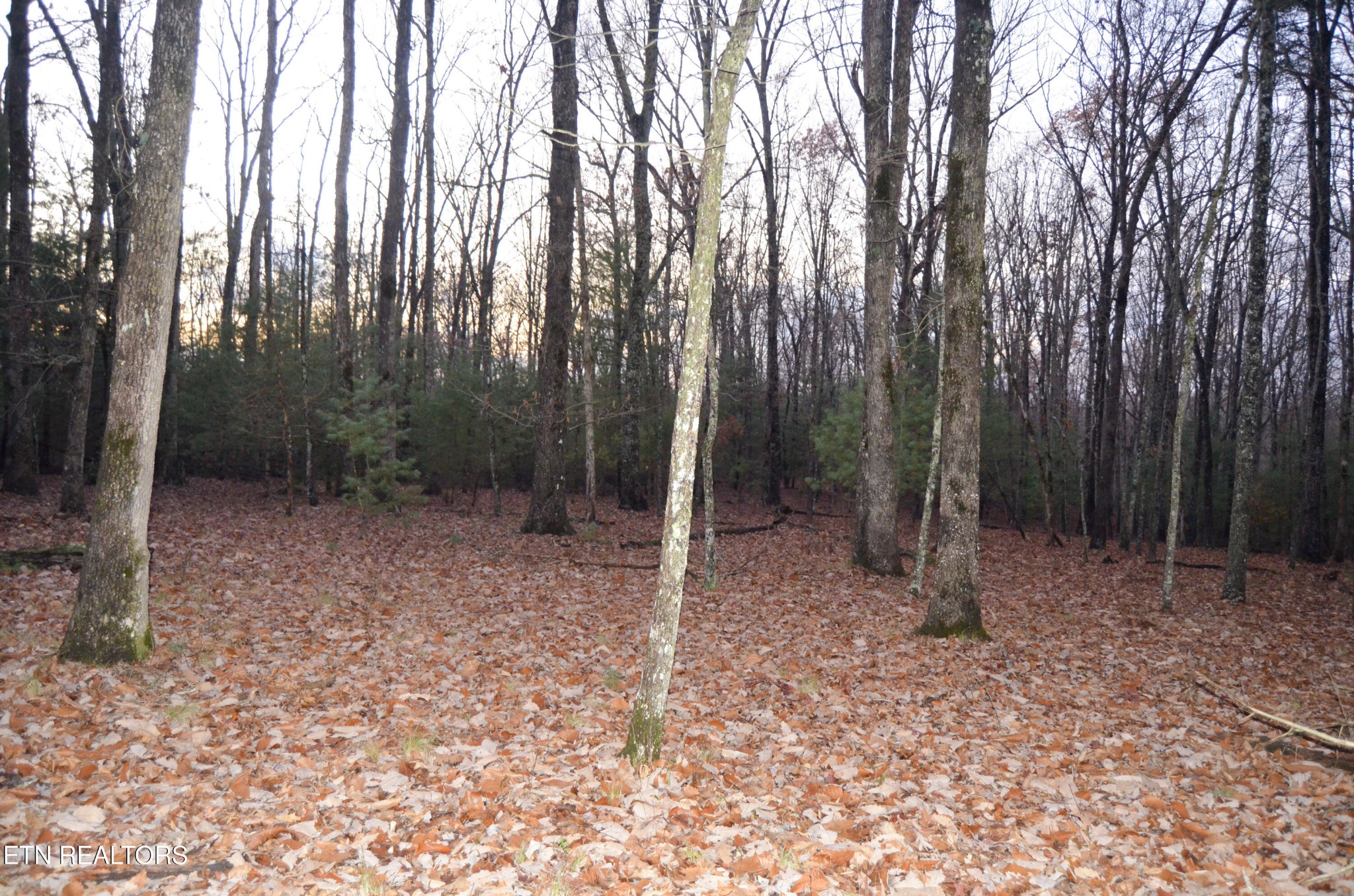 0 Sparta Highway 31.65 +/- Acres Crossville TN 38555