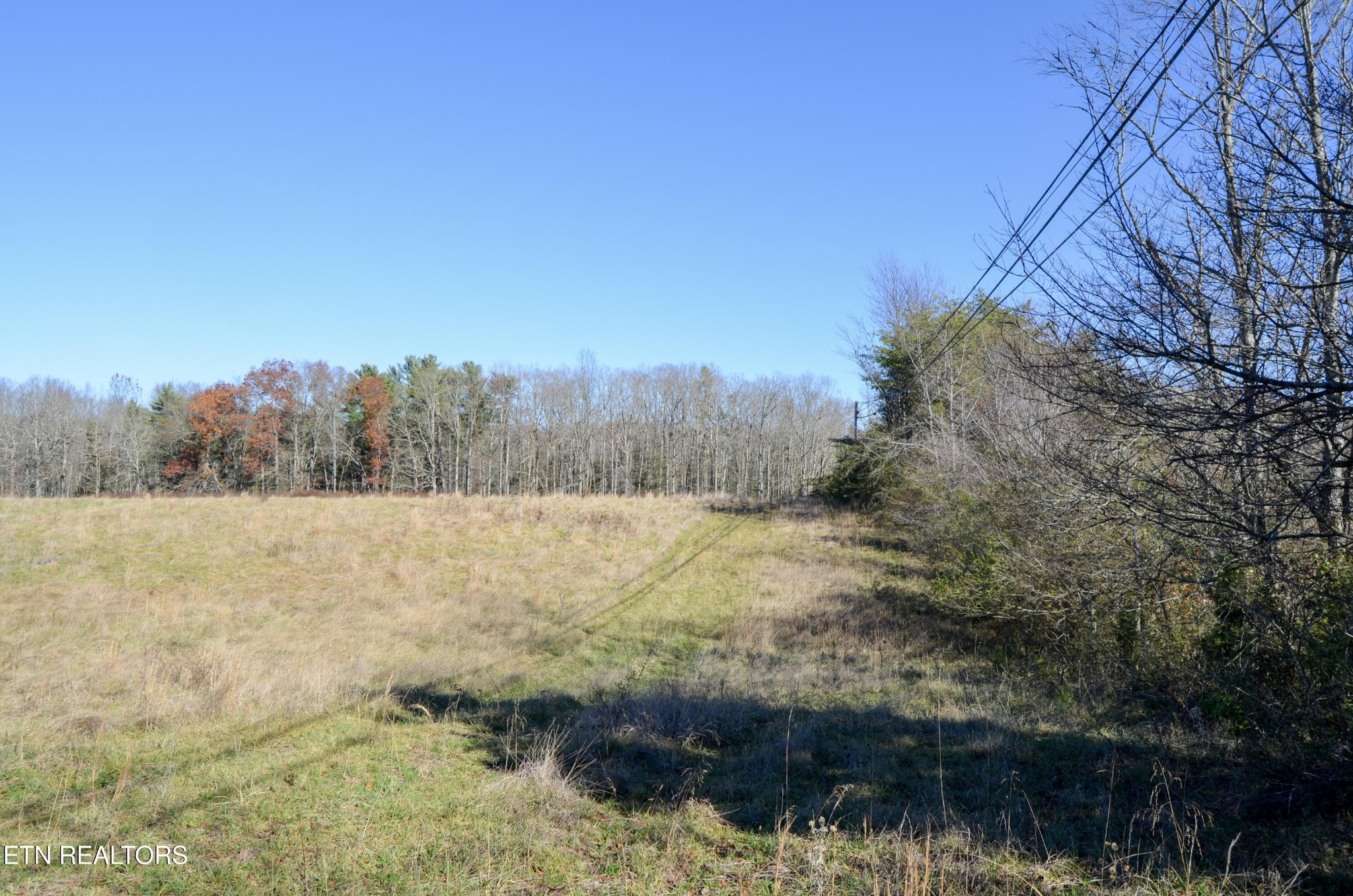 0 Sparta Highway 31.65 +/- Acres Crossville TN 38555