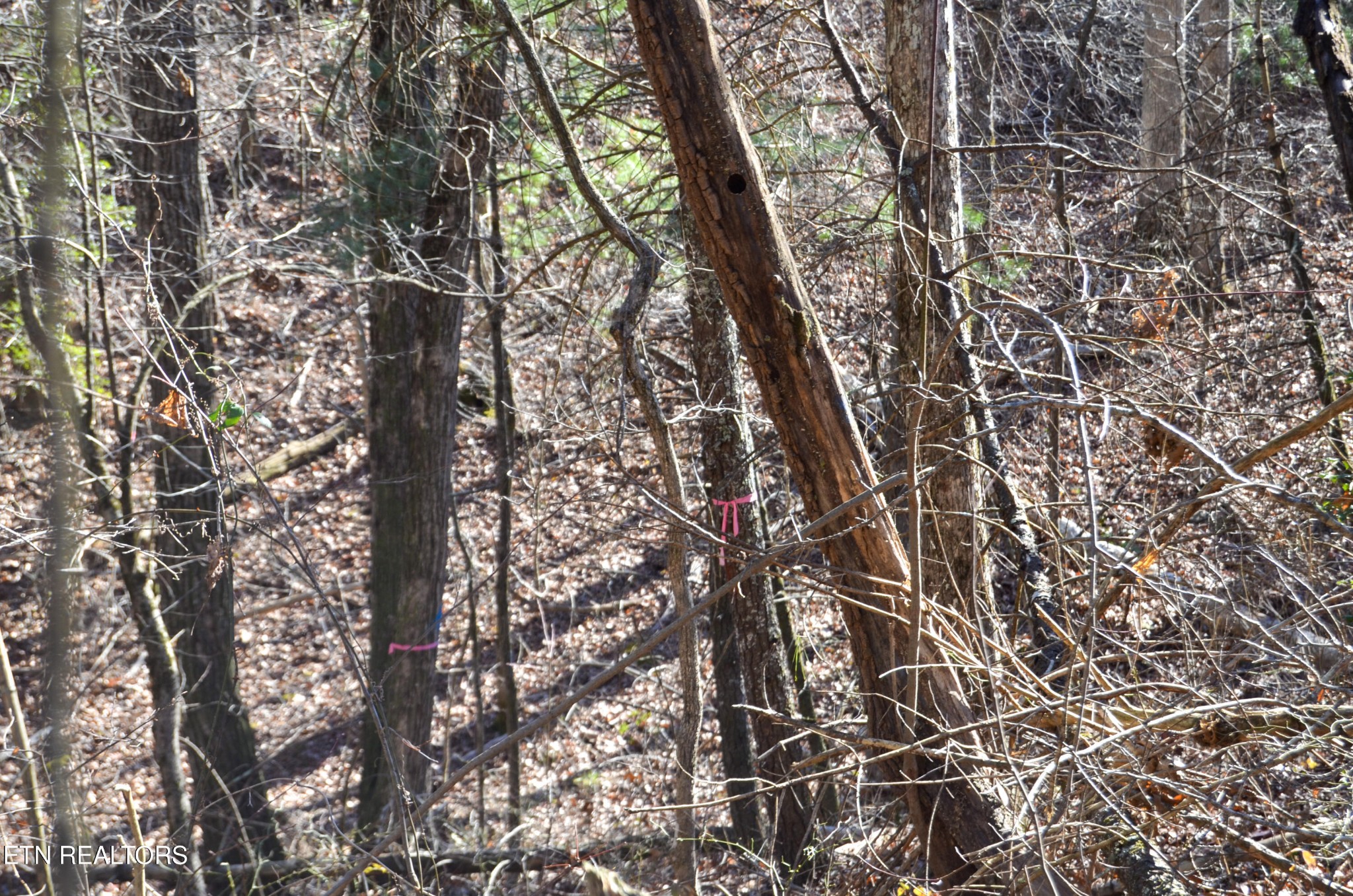 0 Sparta Highway 31.65 +/- Acres Crossville TN 38555