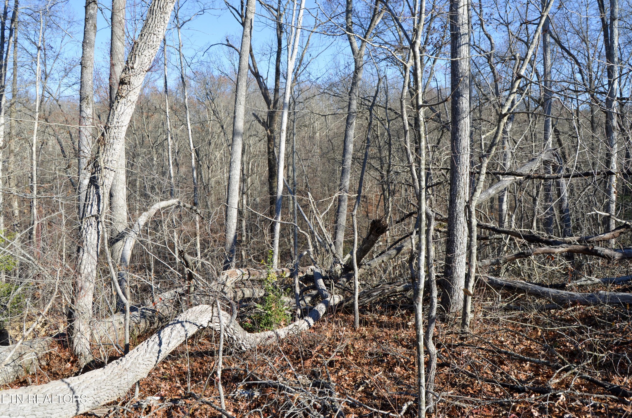 0 Sparta Highway 31.65 +/- Acres Crossville TN 38555