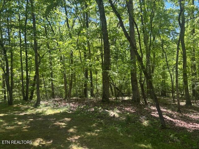 101 Hilton Lane Crossville TN 38558