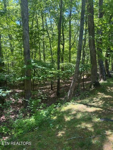 101 Hilton Lane Crossville TN 38558