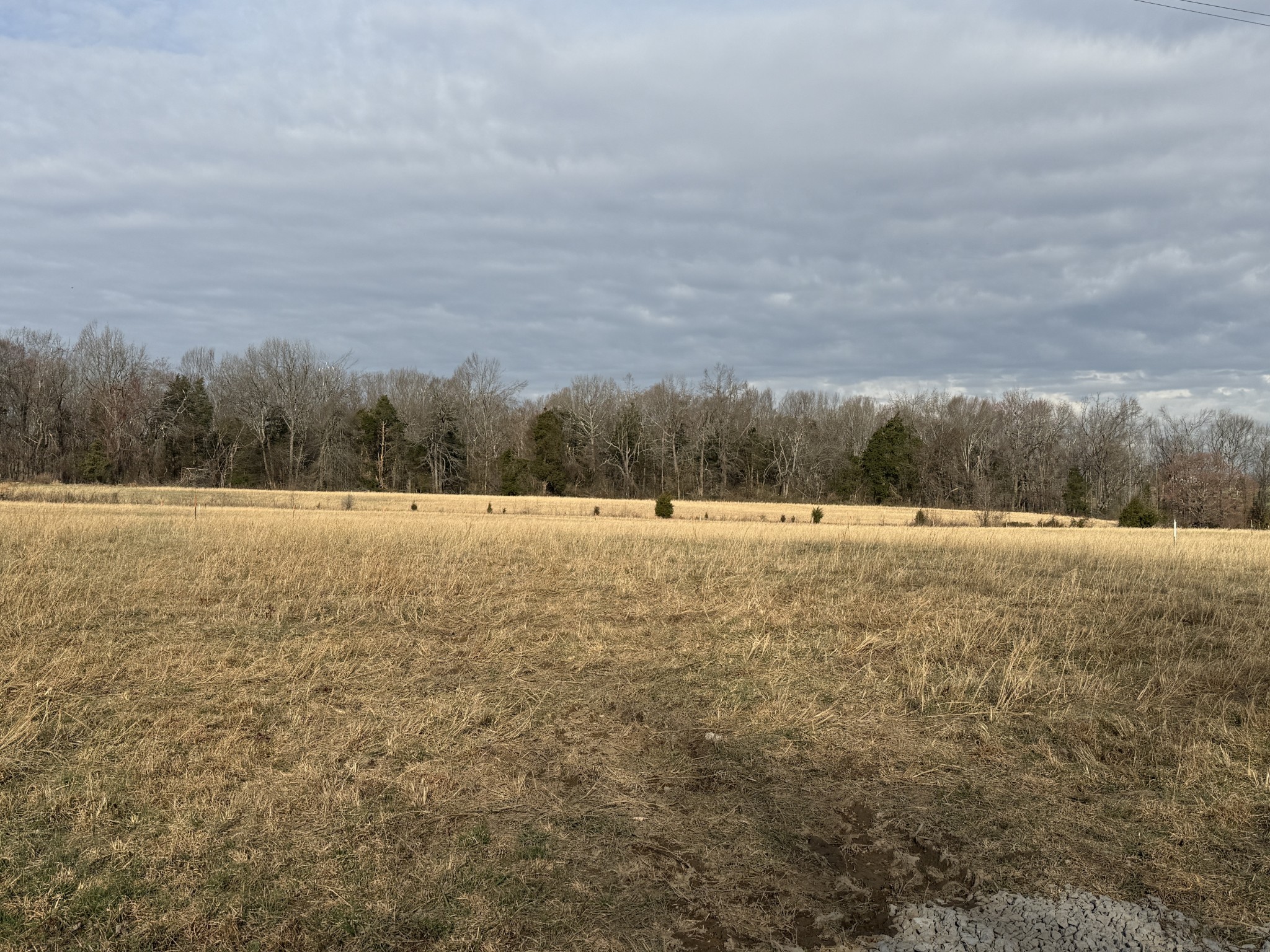 783 Mount Vernon Road Bethpage TN 37022