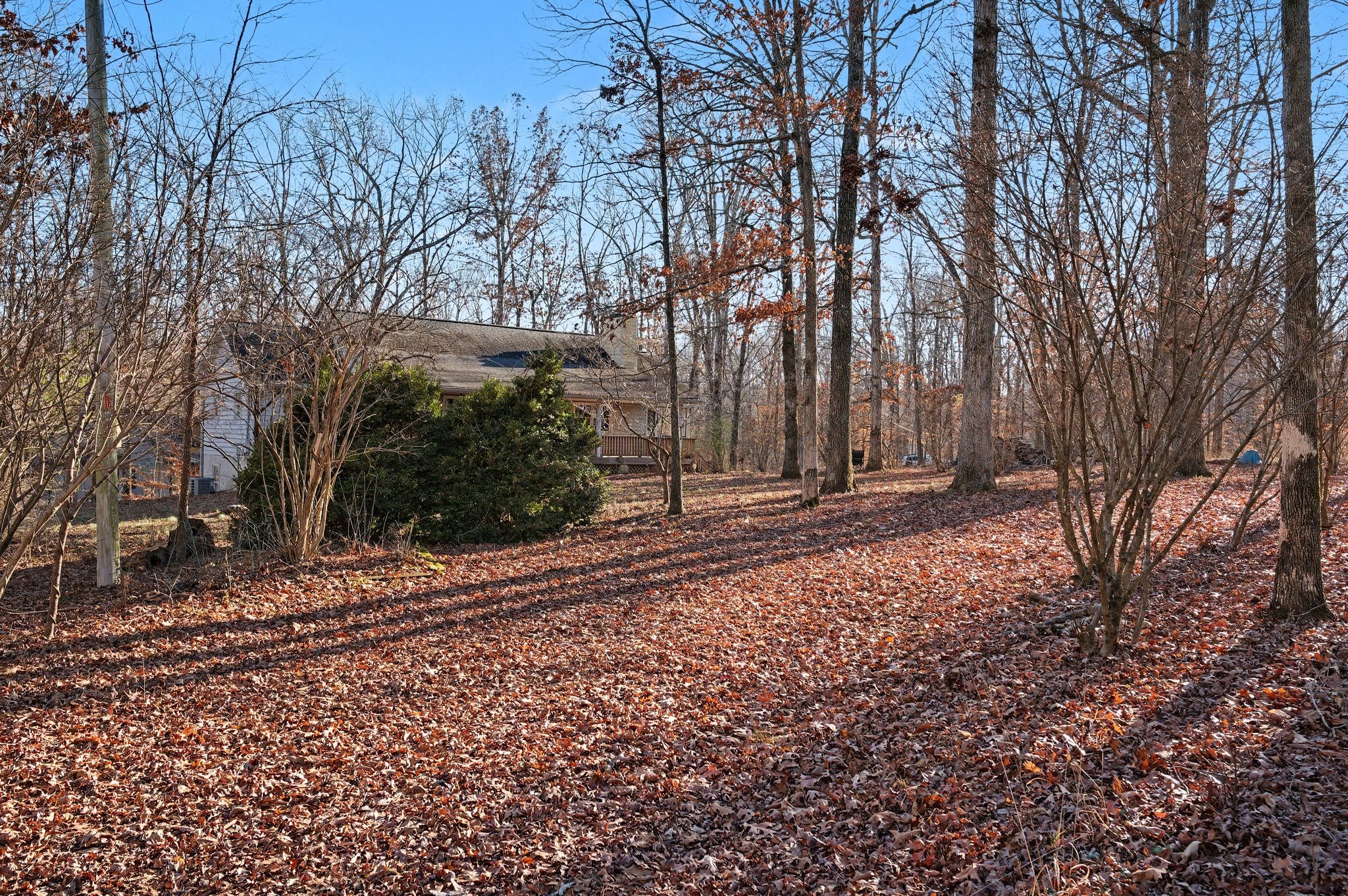 1095 Bald Eagle Drive Kingston Springs TN 37082