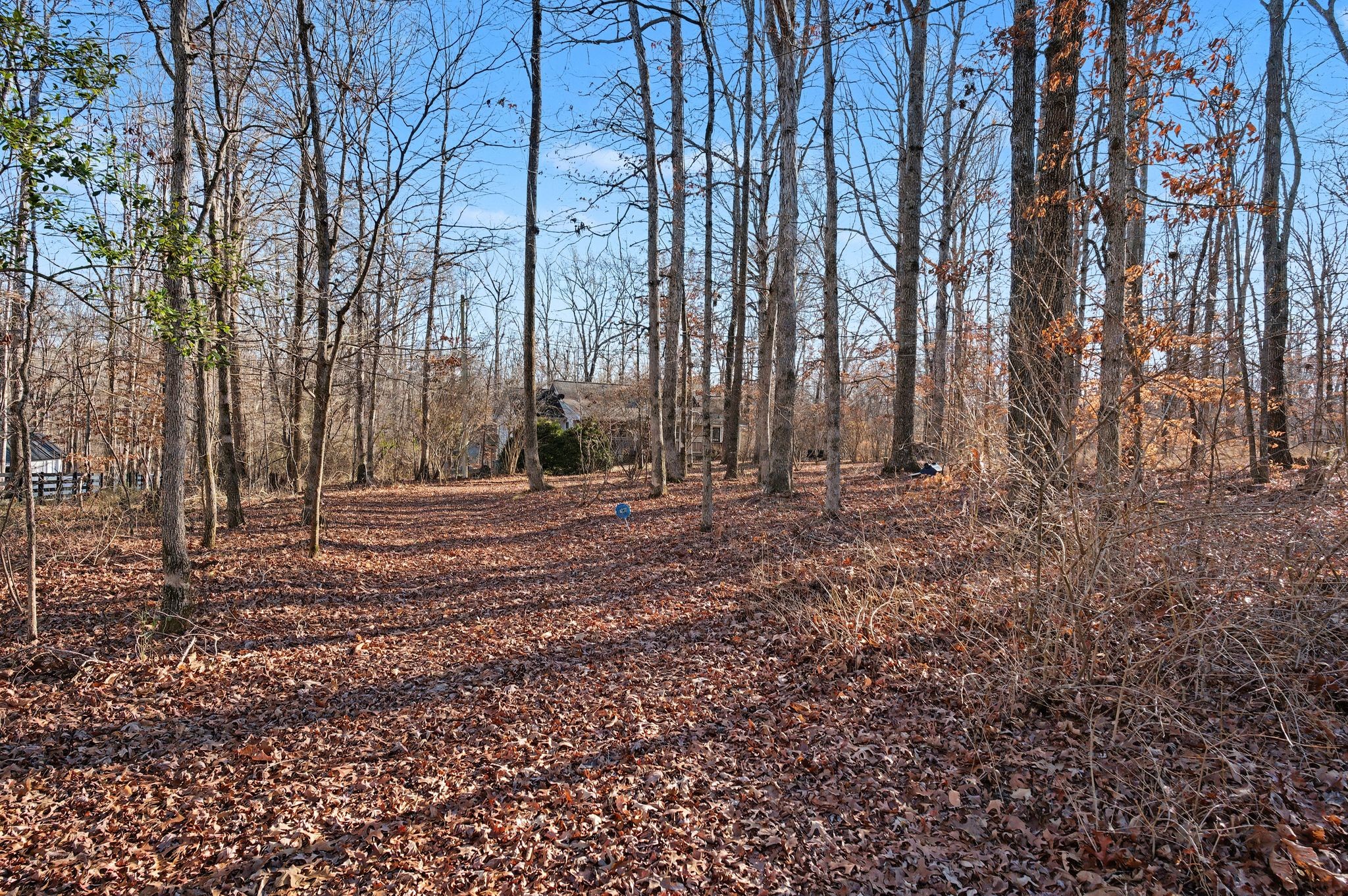 1095 Bald Eagle Drive Kingston Springs TN 37082