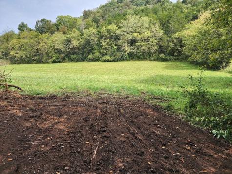 0 Webster Branch Lane Whitleyville TN 38588