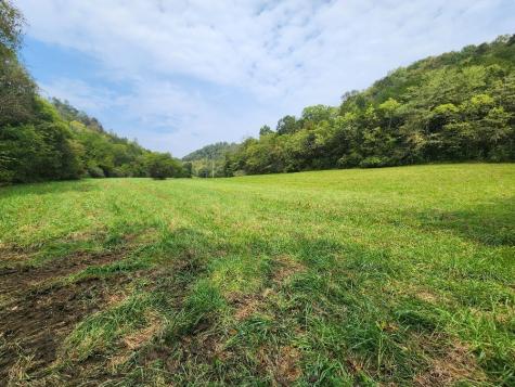 0 Webster Branch Lane Whitleyville TN 38588