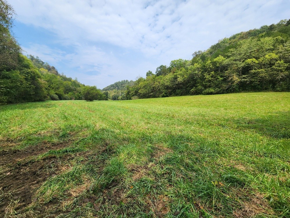 0 Webster Branch Lane Whitleyville TN 38588