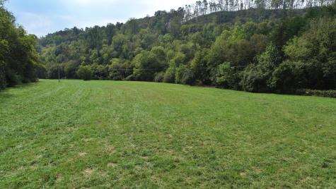0 Webster Branch Lane Whitleyville TN 38588