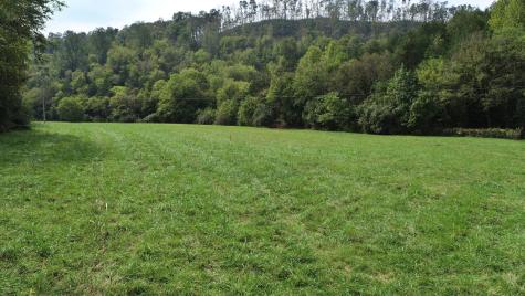 0 Webster Branch Lane Whitleyville TN 38588