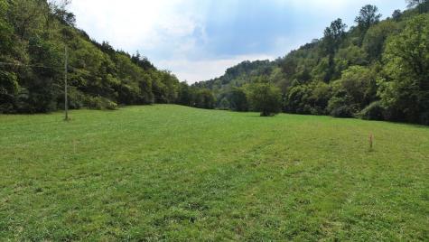 0 Webster Branch Lane Whitleyville TN 38588