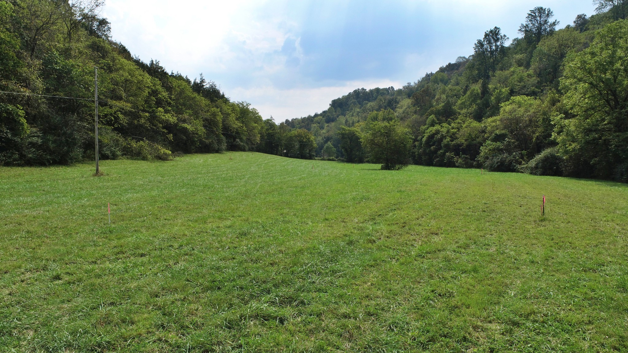 0 Webster Branch Lane Whitleyville TN 38588