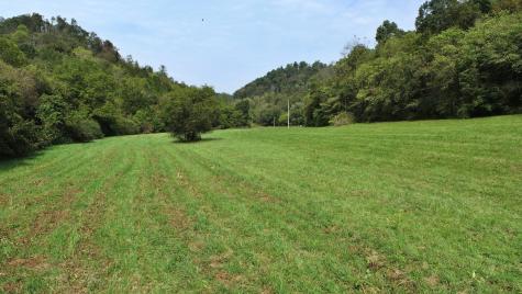 0 Webster Branch Lane Whitleyville TN 38588