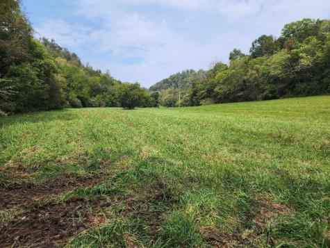 0 Webster Branch Lane Whitleyville TN 38588