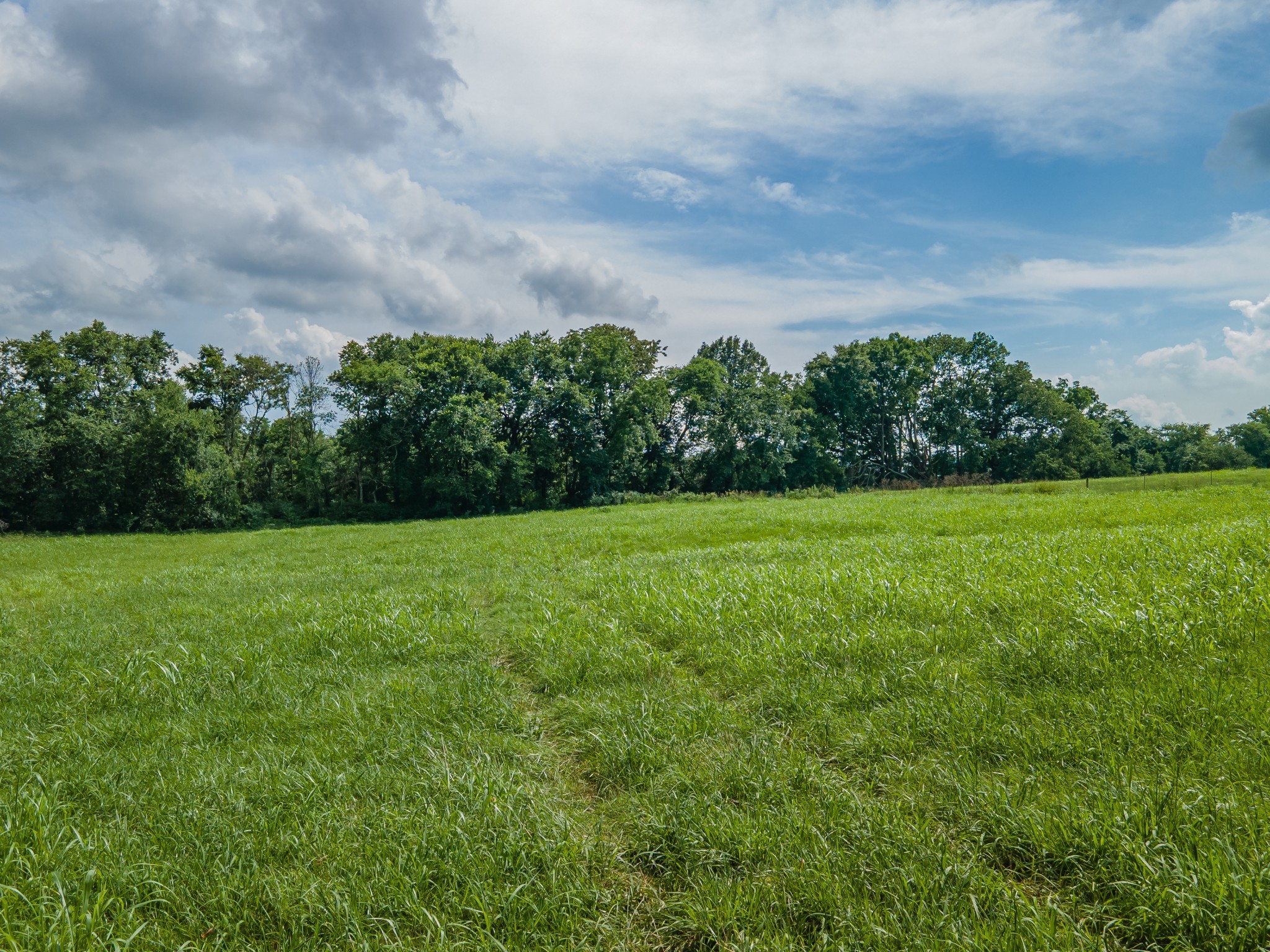 9 Old Zion Road Columbia TN 38401