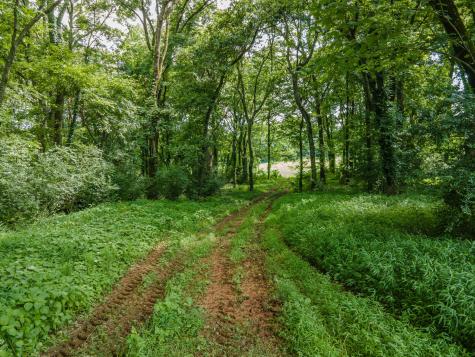9 Old Zion Road Columbia TN 38401