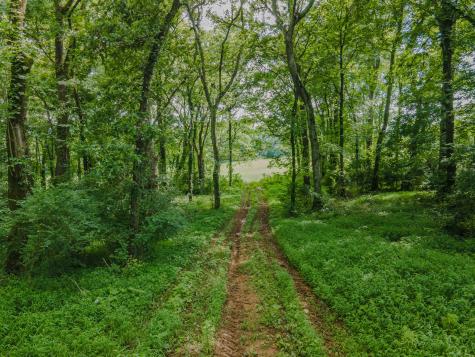 9 Old Zion Road Columbia TN 38401