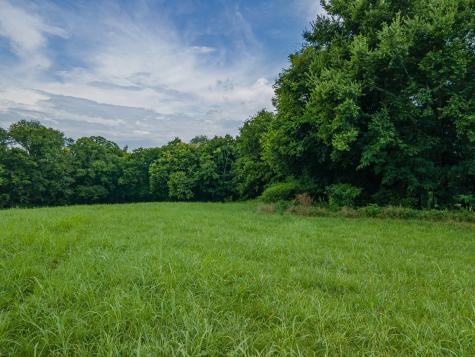 9 Old Zion Road Columbia TN 38401