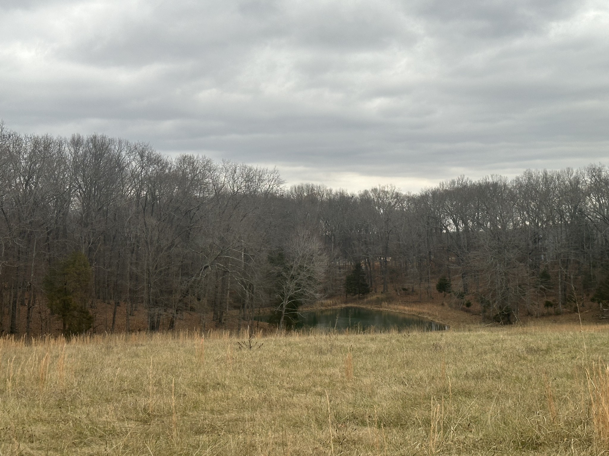 1 Myatt Loop Burns TN 37029