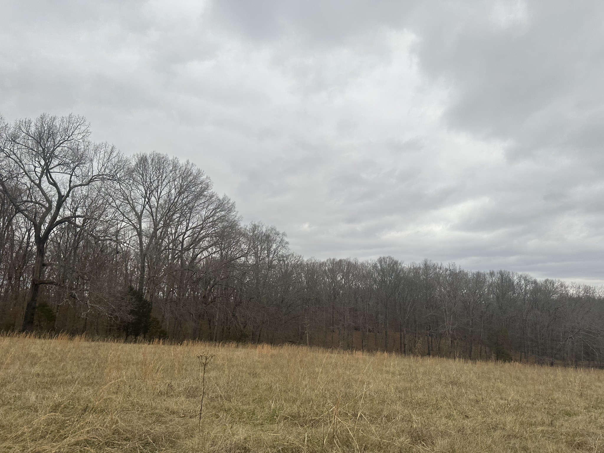1 Myatt Loop Burns TN 37029