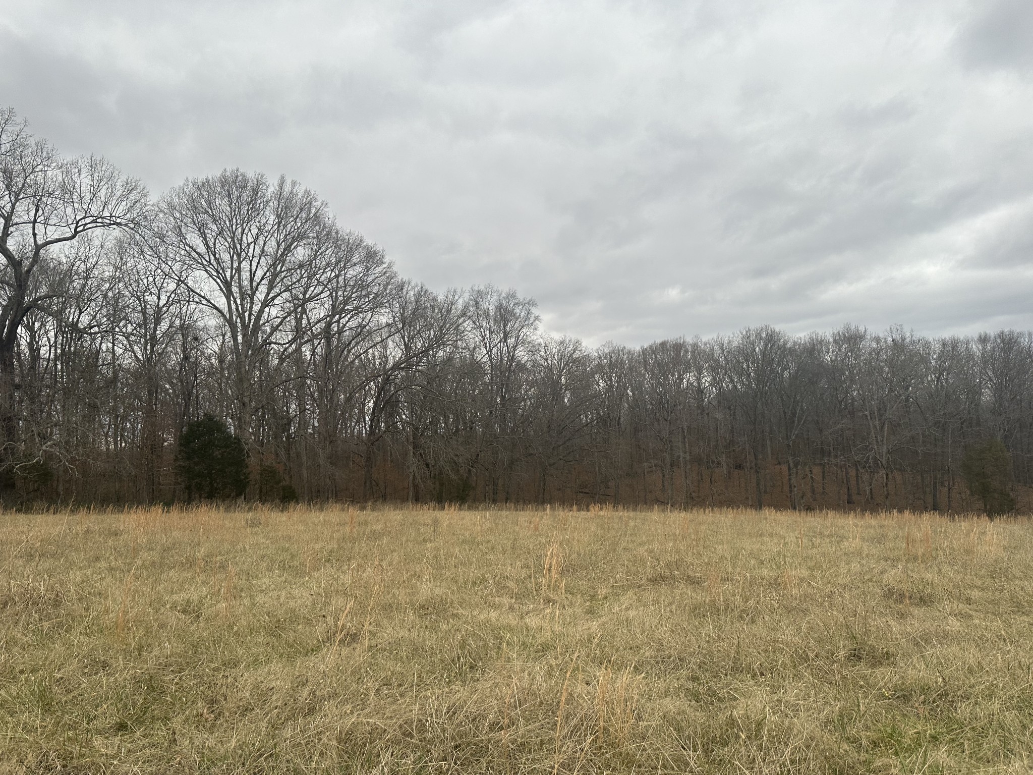 1 Myatt Loop Burns TN 37029