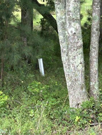 2460 Jasper Highlands Boulevard Jasper TN 37347