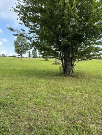 2460 Jasper Highlands Boulevard Jasper TN 37347