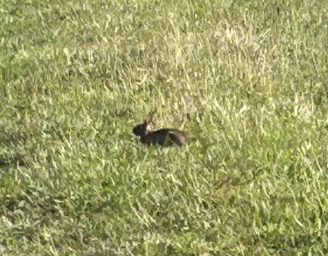 2460 Jasper Highlands Boulevard Jasper TN 37347