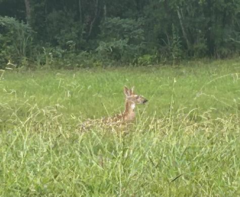 2460 Jasper Highlands Boulevard Jasper TN 37347