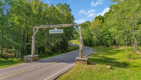 0 Crockett Point Jasper TN 37347