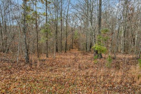0 Crockett Point Jasper TN 37347