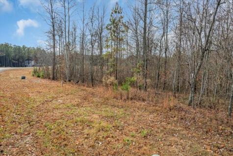 0 Crockett Point Jasper TN 37347