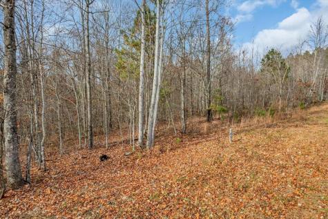 0 Crockett Point Jasper TN 37347